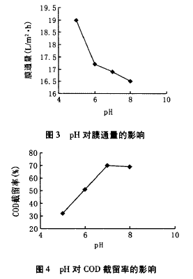 納濾膜，廢水滲透液，COD，去除效果